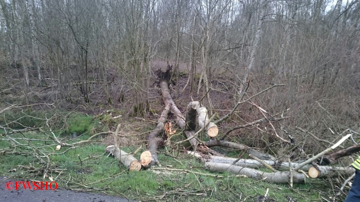 Sturmschaden, Baum auf PKW K 31