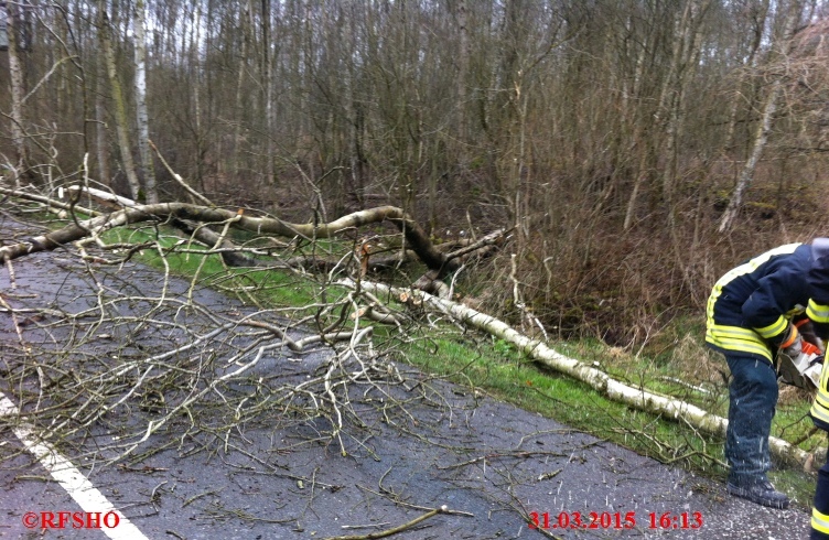 Sturmschaden, Baum auf PKW K 31