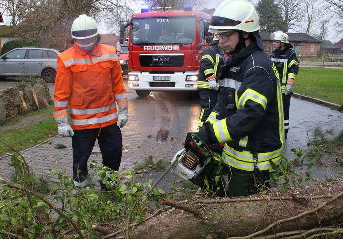 In Schönewörde musste die Feuerwehr auch noch am Vormittag einen umgestürtzen Baum<br>von der Fahrbahn der Ringstraße entfernen. Foto: GADES