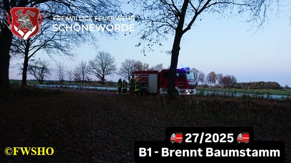 B1 Brennt Baumstumpf K31 Ri. Neud.Platenborf