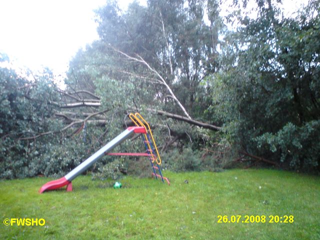 Ungestürzter Baum, Schwarzburg