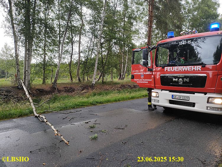 H_1 Baum auf Straße K31