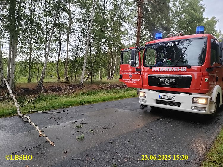 H_1 Baum auf Straße K31