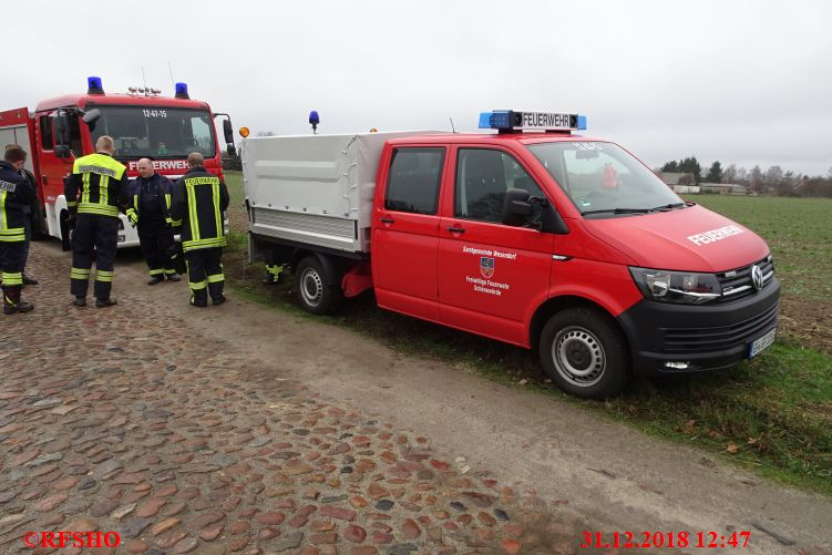 Die Feuerwehrabordnung aus Schönewörde und Abbendorf